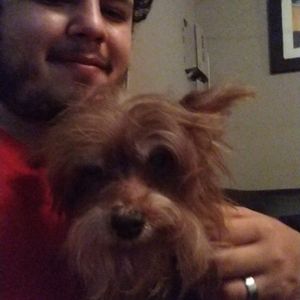 Meet your Posher, Francisco